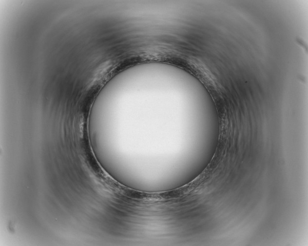 X0000094440694200711081025