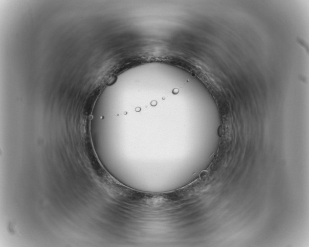 X0000094440695200711081025