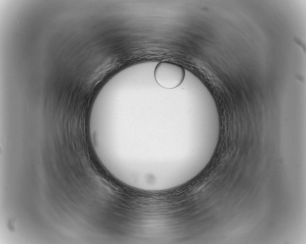X0000094440696200711081025
