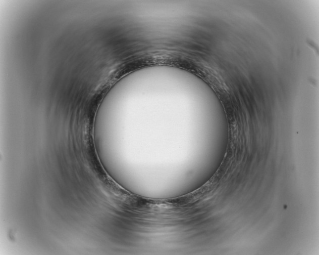 X0000094440698200711081025