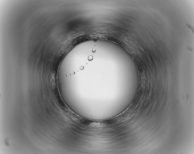 X0000094440699200711081025