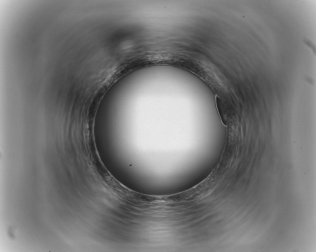 X0000094440700200711081025