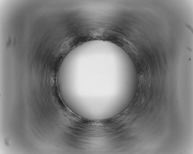 X0000094440702200711081025