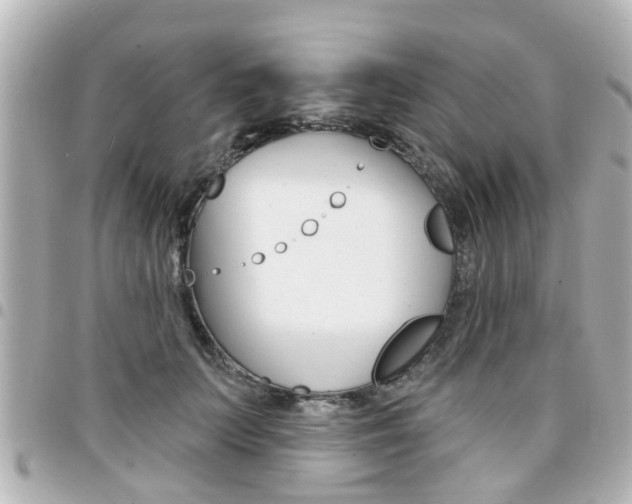X0000094440703200711081025