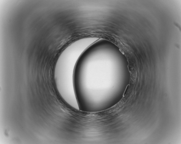 X0000094440704200711081025