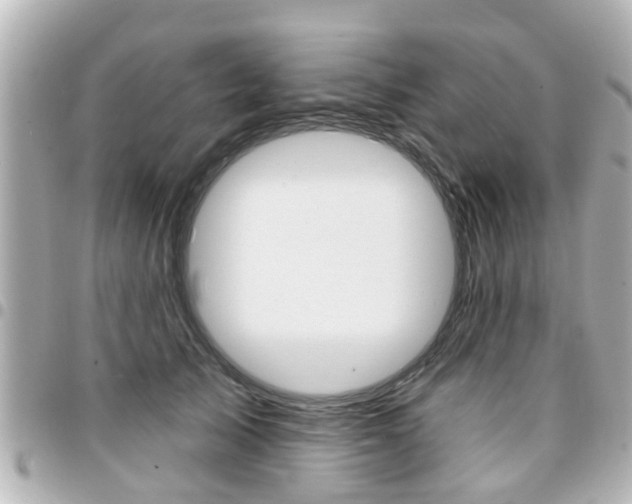X0000094440705200711081025