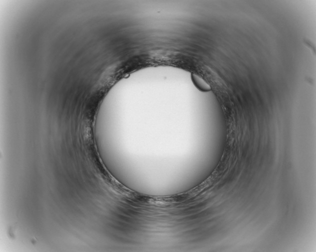 X0000094440706200711081025