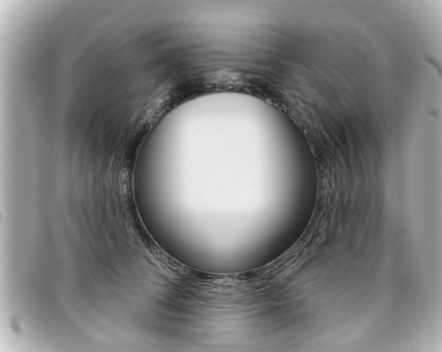 X0000094440708200711081025