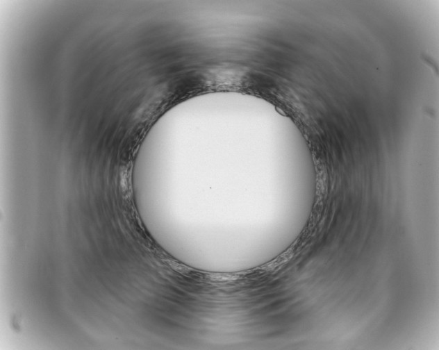 X0000094440709200711081025