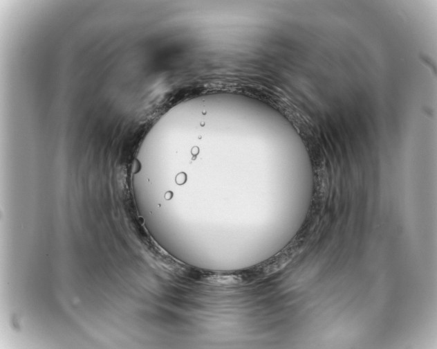 X0000094440711200711081025