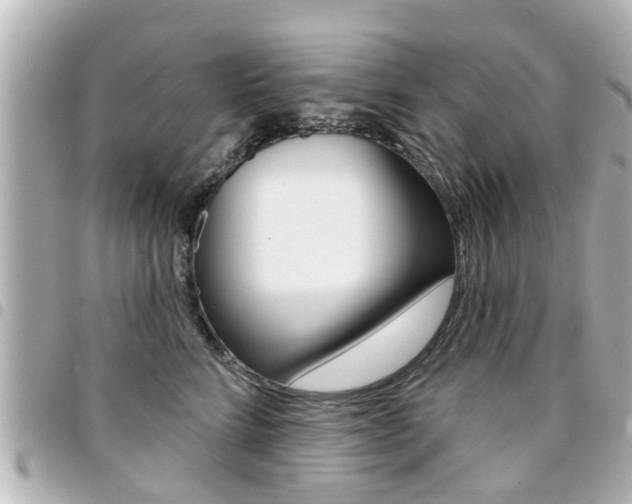 X0000094440712200711081025