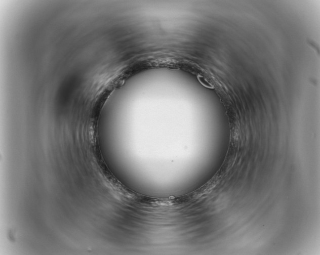 X0000094440715200711081025
