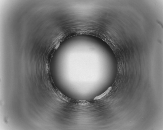 X0000094440716200711081025