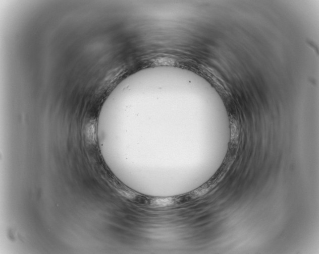X0000094440717200711081025