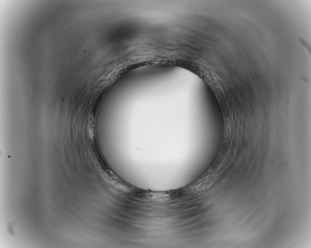 X0000094440719200711081025