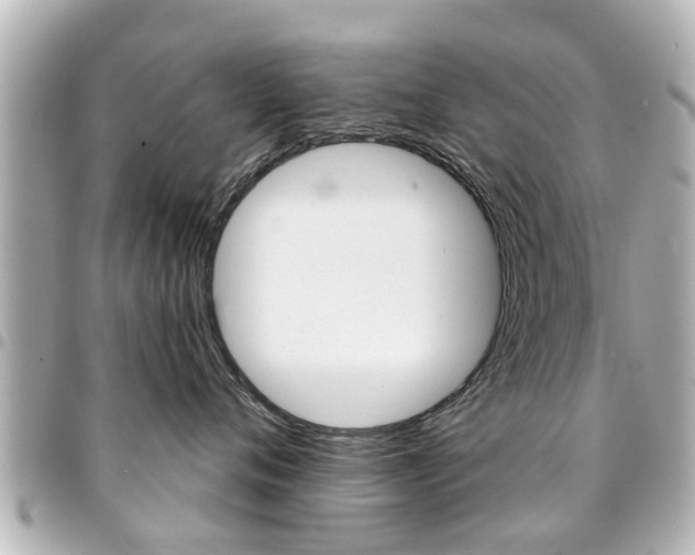 X0000094440720200711081025