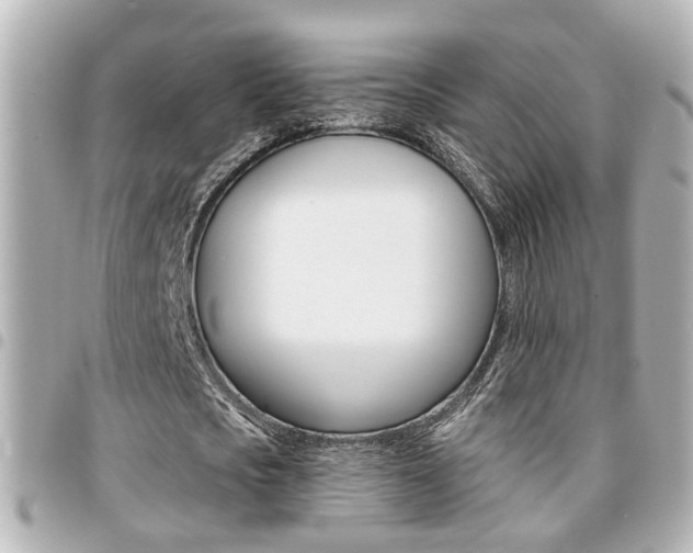 X0000094440721200711081024