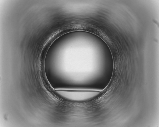 X0000094440722200711081024