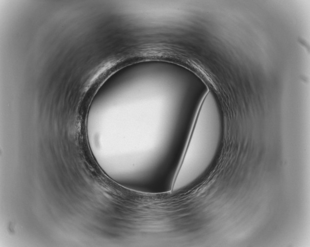 X0000094440723200711081024