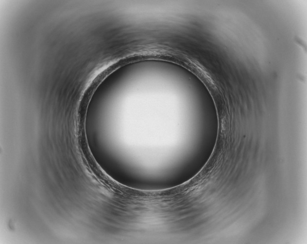 X0000094440724200711081024