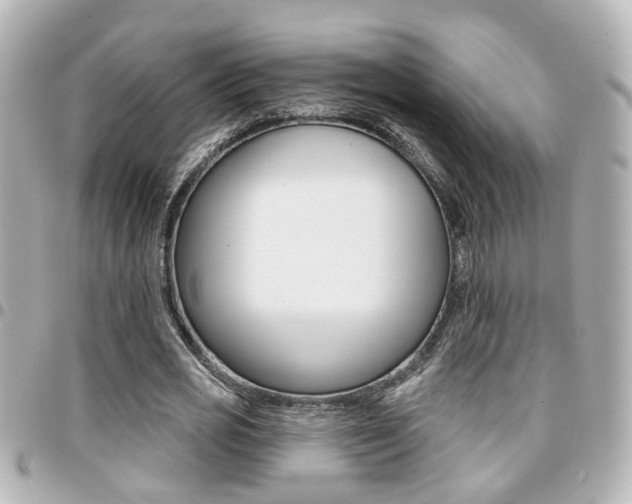 X0000094440725200711081025