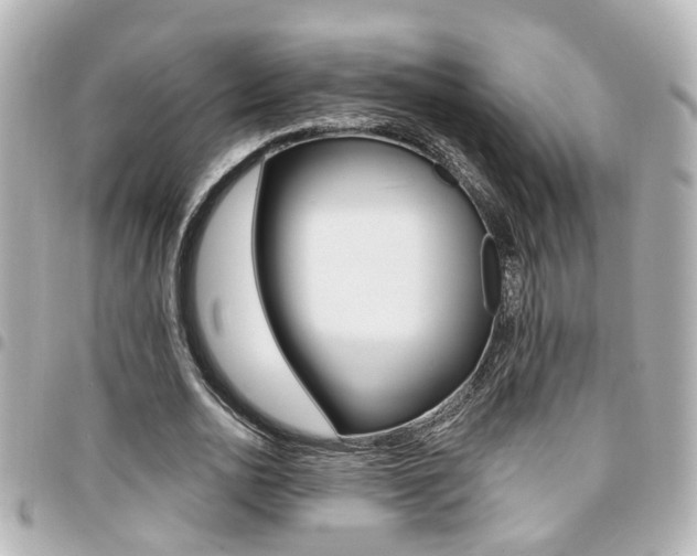 X0000094440726200711081025