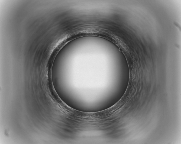X0000094440727200711081025