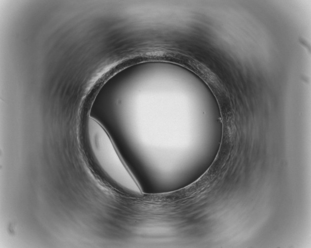 X0000094440728200711081025
