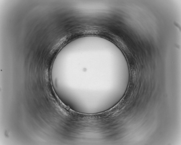 X0000094440729200711081025