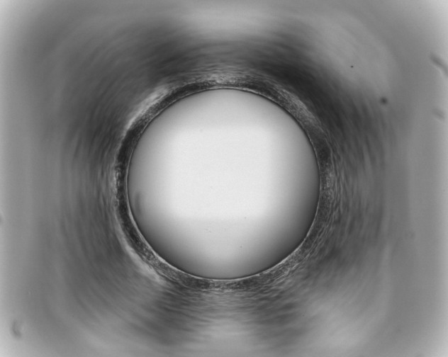 X0000094440730200711081025