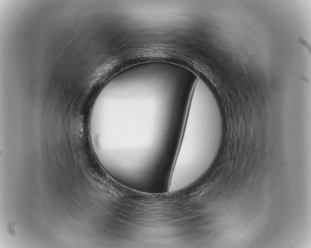 X0000094440731200711081025