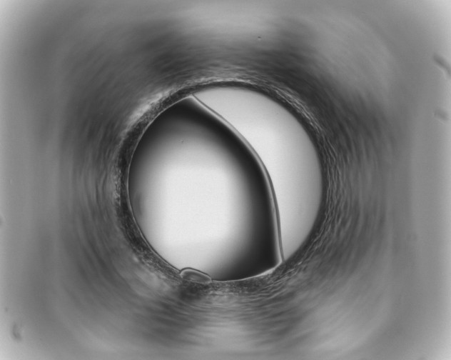 X0000094440732200711081025
