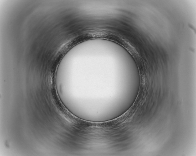 X0000094440733200711081025