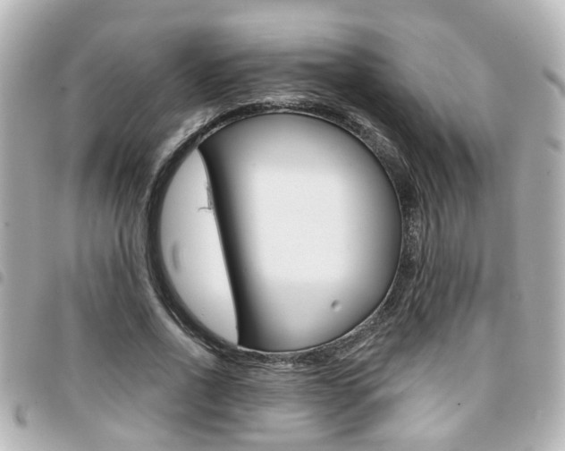 X0000094440734200711081025