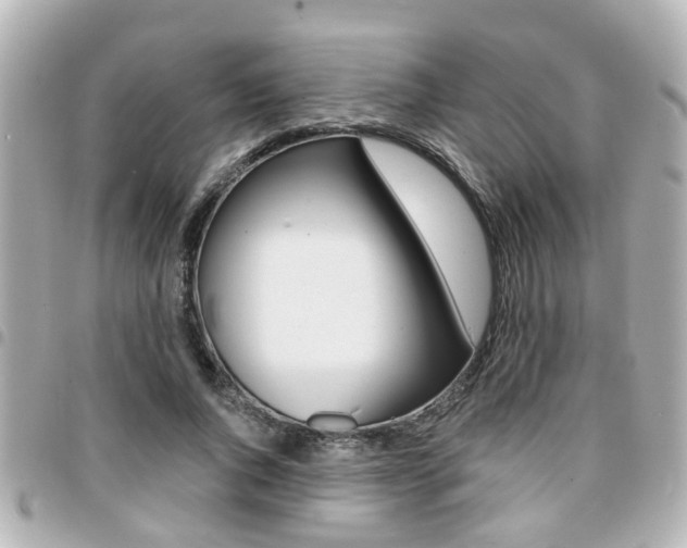 X0000094440736200711081025