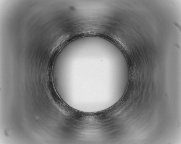 X0000094440738200711081025
