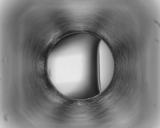 X0000094440739200711081025