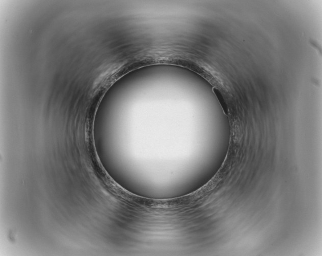 X0000094440740200711081025