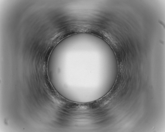 X0000094440741200711081025