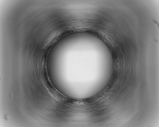 X0000094440742200711081025