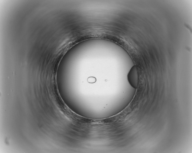 X0000094440744200711081025