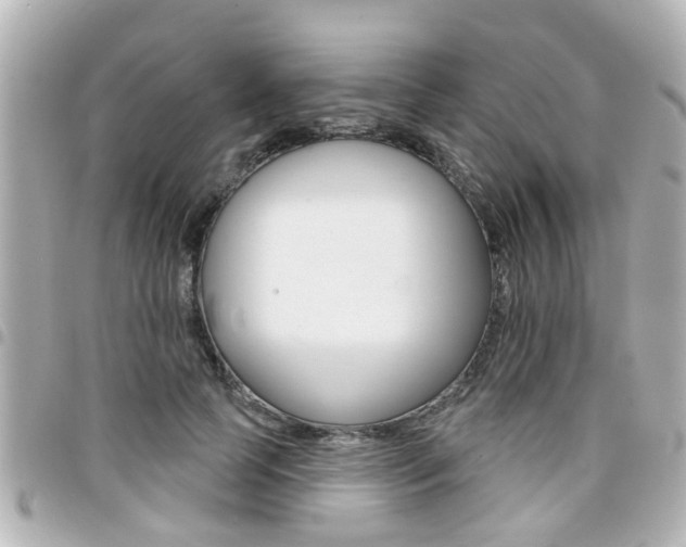 X0000094440745200711081025