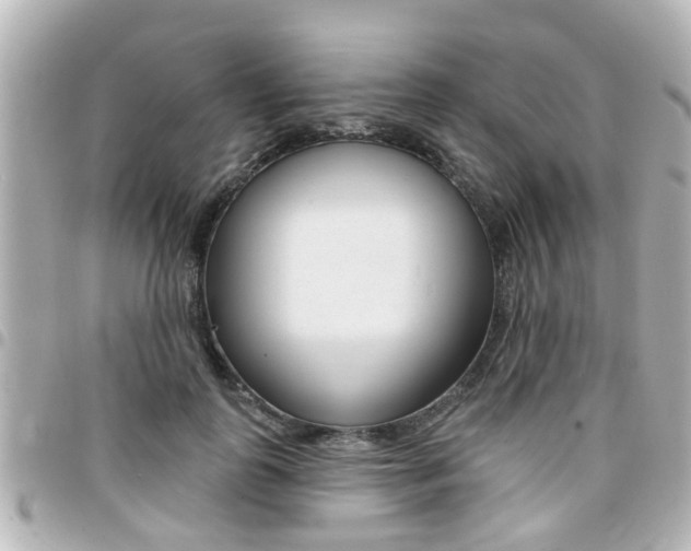 X0000094440747200711081025