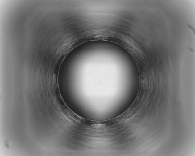 X0000094440748200711081025