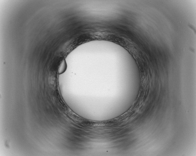 X0000094440749200711081025