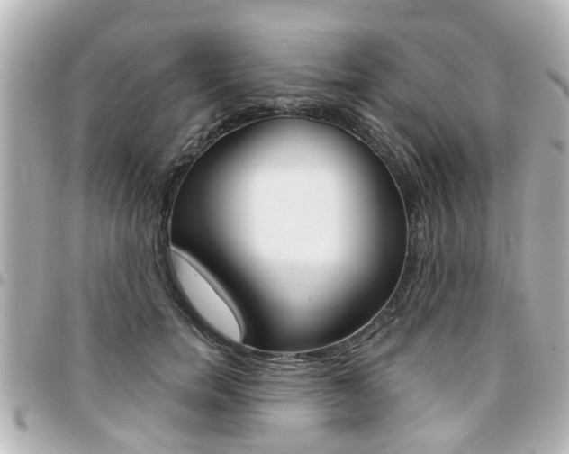 X0000094440750200711081025