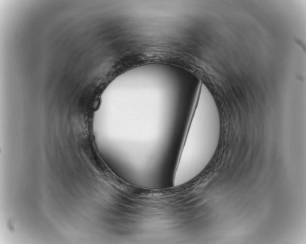 X0000094440751200711081025