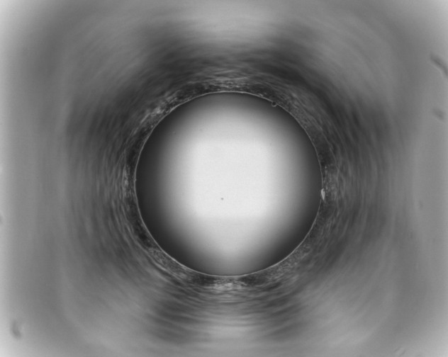 X0000094440752200711081025