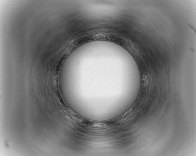 X0000094440753200711081025
