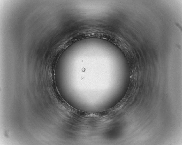 X0000094440754200711081025